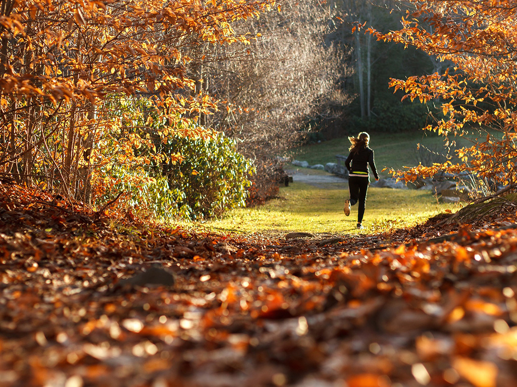 Flicka springer längs stig i höstfärgad skog.